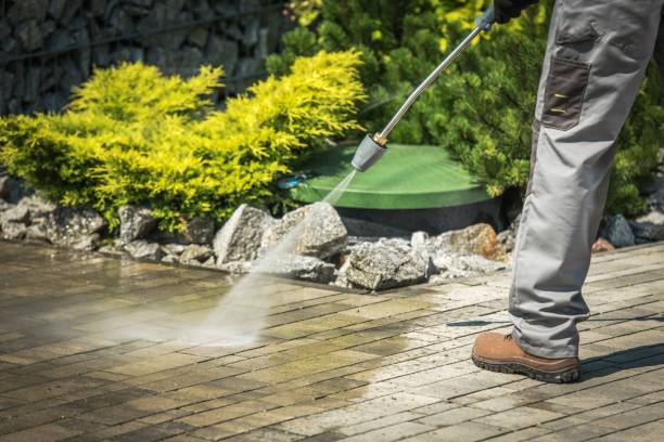 Best Boat and Dock Cleaning  in Norman Park, GA